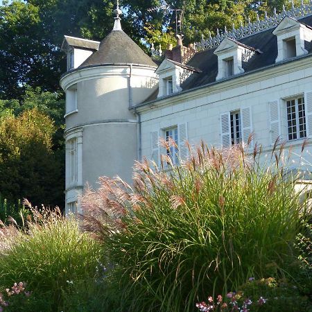 Manoir De La Vigneraie Bed & Breakfast Athee-sur-Cher Luaran gambar