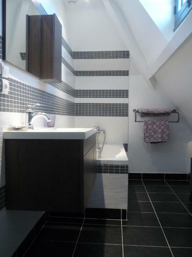 Manoir De La Vigneraie Bed & Breakfast Athee-sur-Cher Luaran gambar