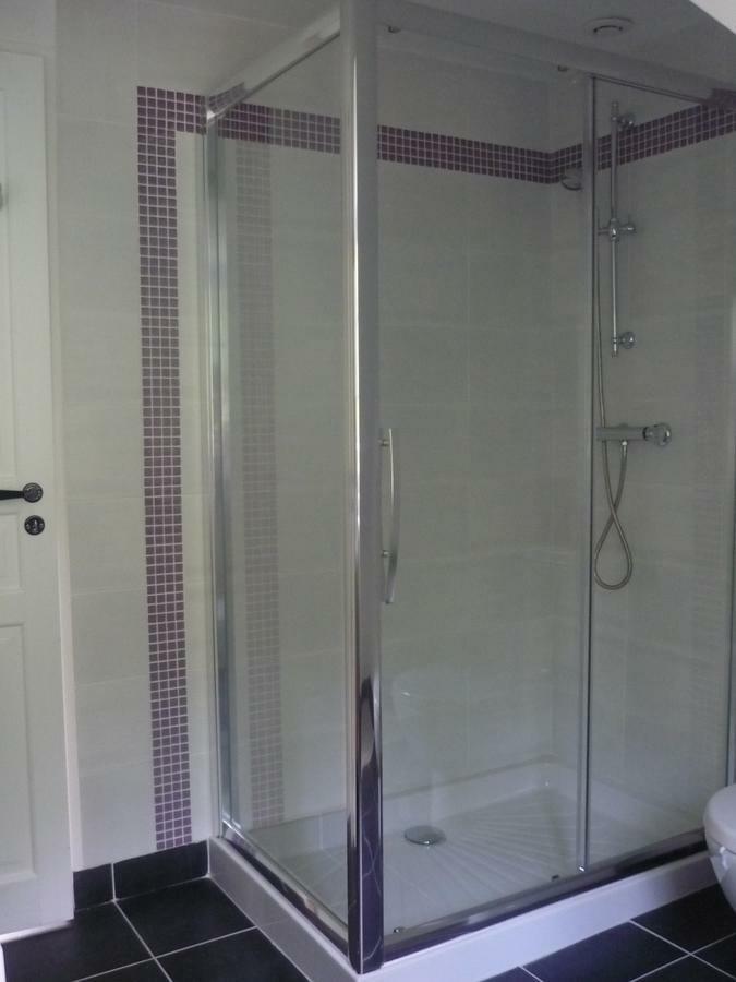 Manoir De La Vigneraie Bed & Breakfast Athee-sur-Cher Luaran gambar